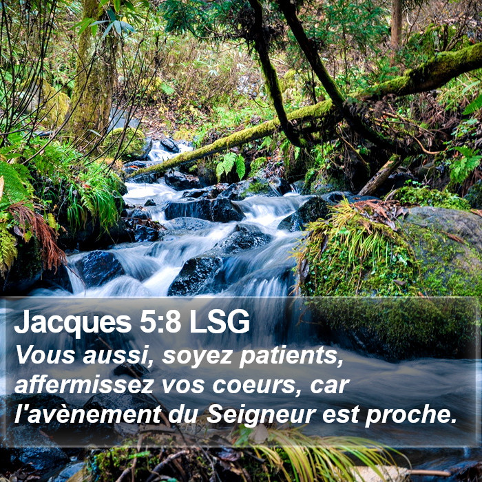 Jacques 5:8 LSG Bible Study