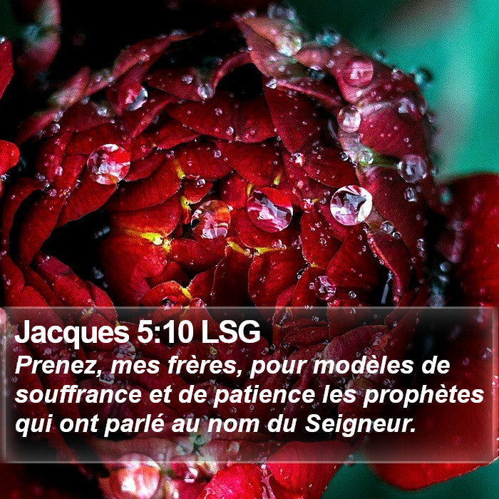 Jacques 5:10 LSG Bible Study