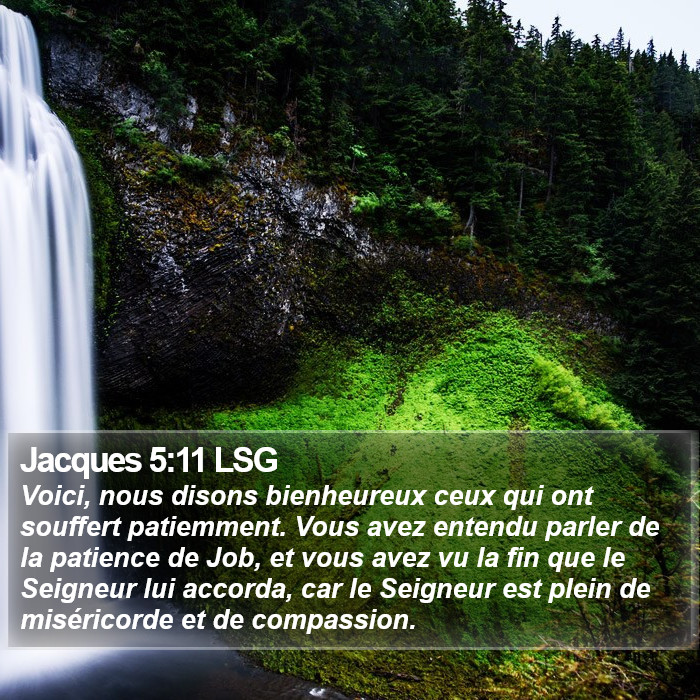 Jacques 5:11 LSG Bible Study