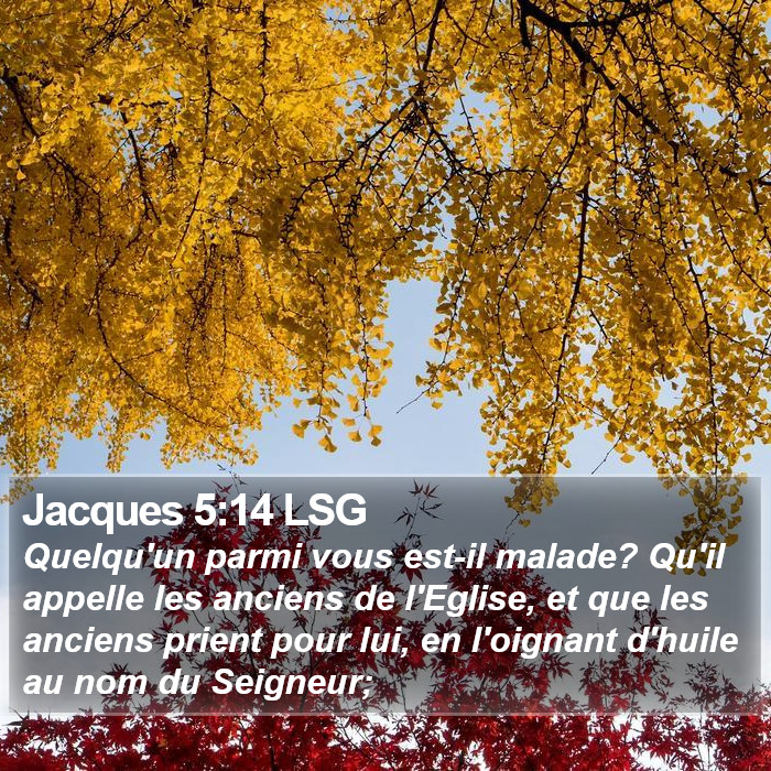 Jacques 5:14 LSG Bible Study