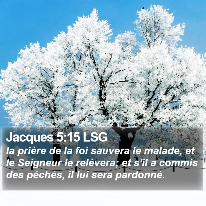 Jacques 5:15 LSG Bible Study