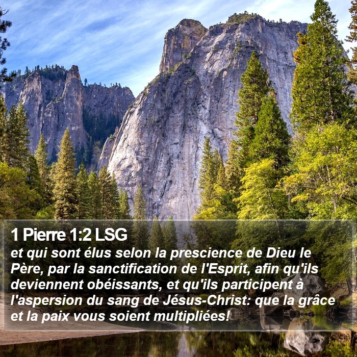 1 Pierre 1:2 LSG Bible Study