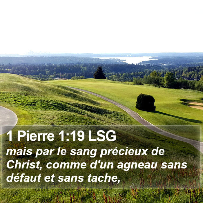 1 Pierre 1:19 LSG Bible Study