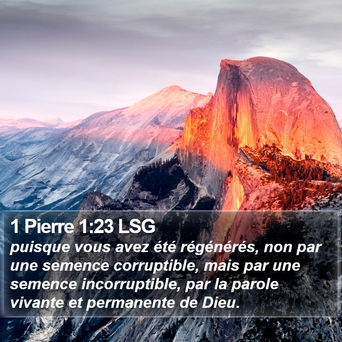 1 Pierre 1:23 LSG Bible Study