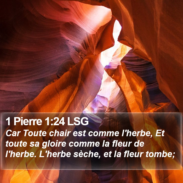 1 Pierre 1:24 LSG Bible Study