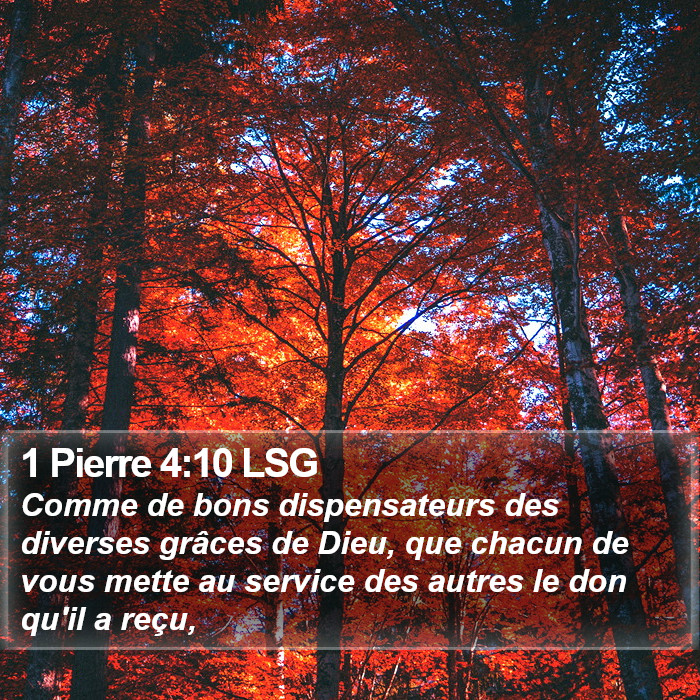 1 Pierre 4:10 LSG Bible Study