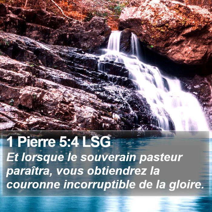 1 Pierre 5:4 LSG Bible Study