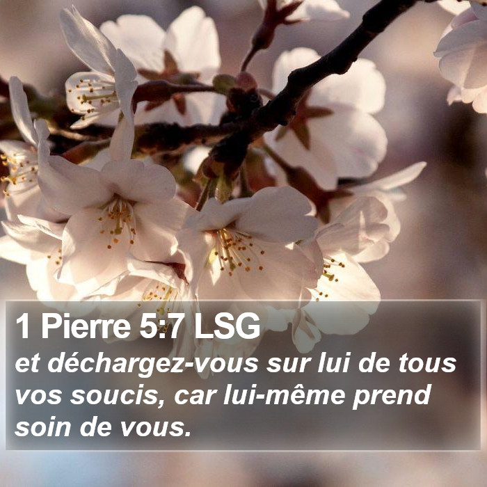 1 Pierre 5:7 LSG Bible Study