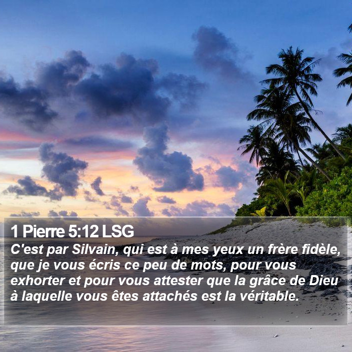 1 Pierre 5:12 LSG Bible Study