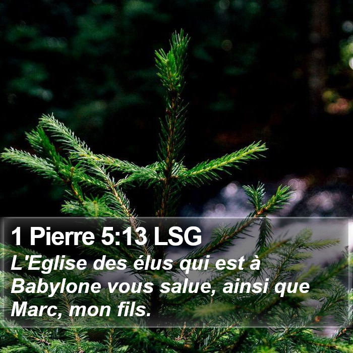 1 Pierre 5:13 LSG Bible Study