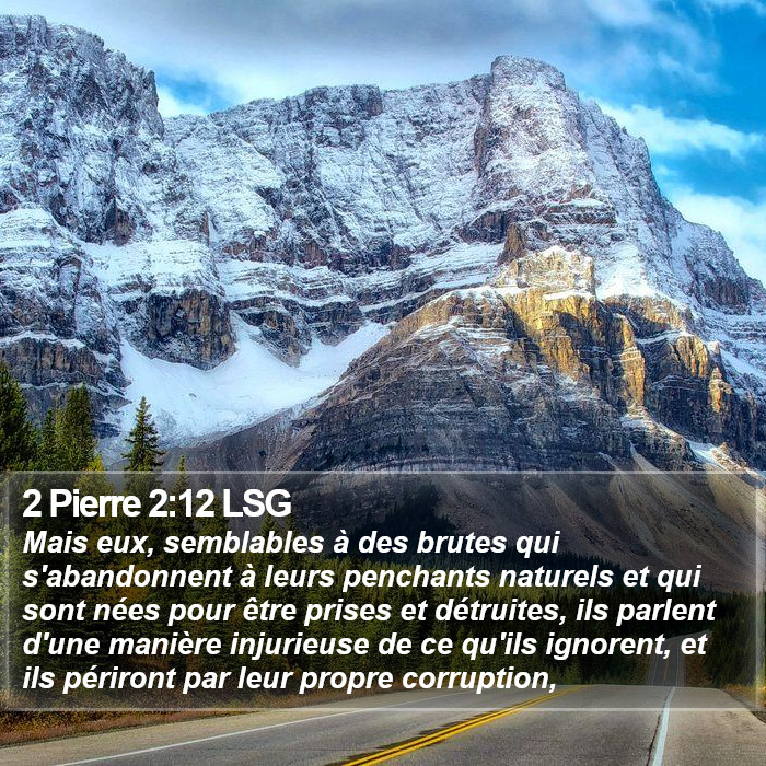 2 Pierre 2:12 LSG Bible Study