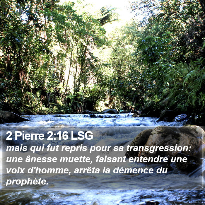 2 Pierre 2:16 LSG Bible Study