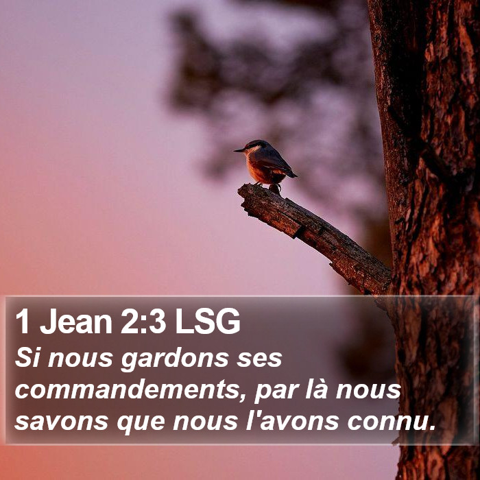 1 Jean 2:3 LSG Bible Study