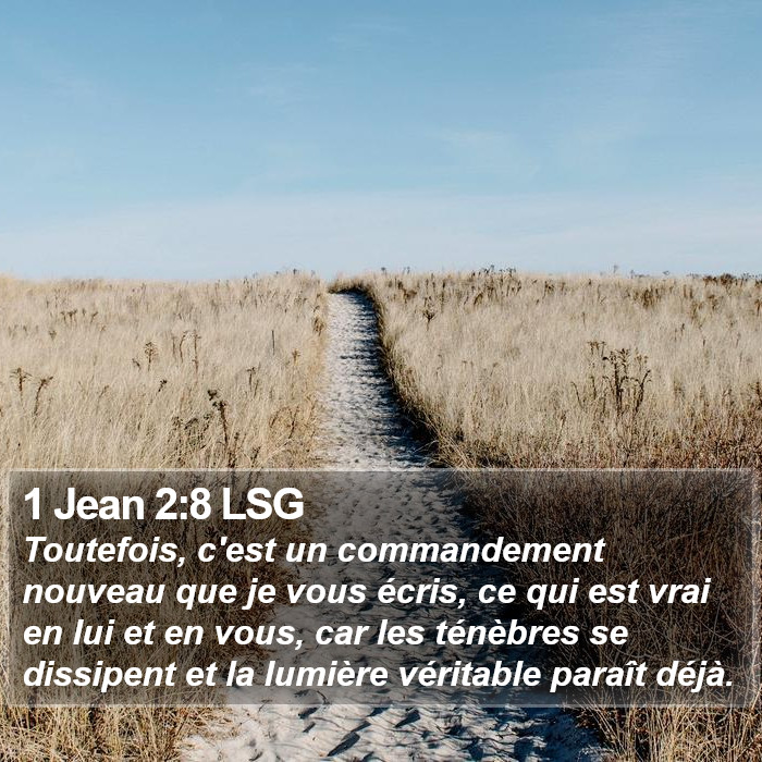 1 Jean 2:8 LSG Bible Study