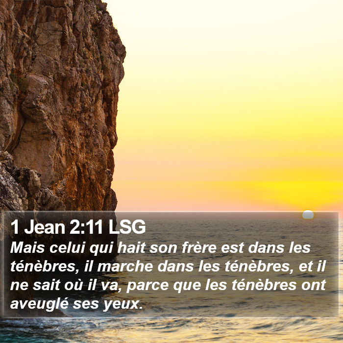 1 Jean 2:11 LSG Bible Study