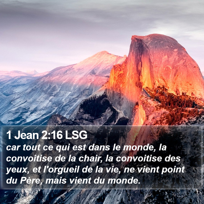 1 Jean 2:16 LSG Bible Study