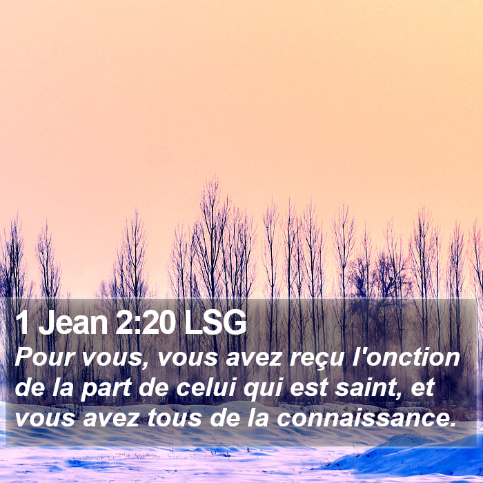 1 Jean 2:20 LSG Bible Study