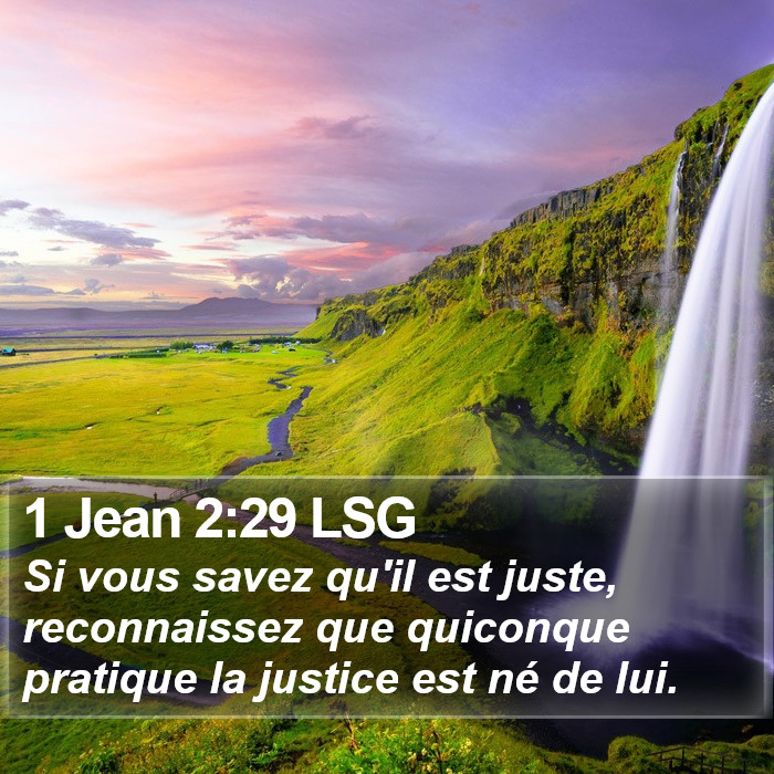 1 Jean 2:29 LSG Bible Study