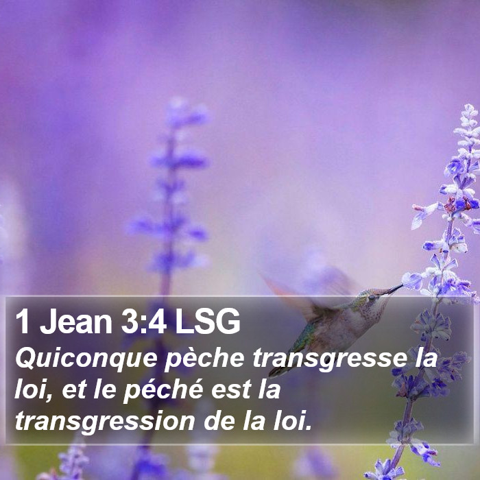 1 Jean 3:4 LSG Bible Study