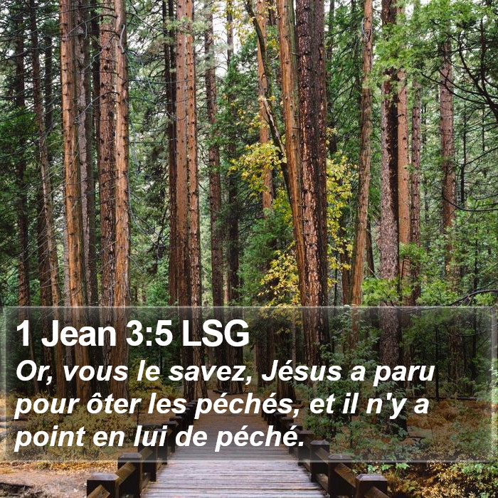 1 Jean 3:5 LSG Bible Study