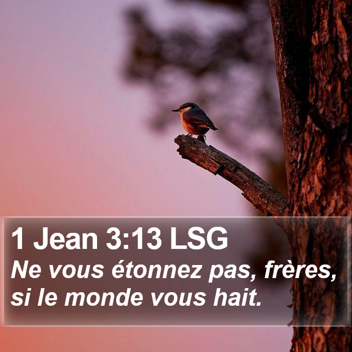 1 Jean 3:13 LSG Bible Study