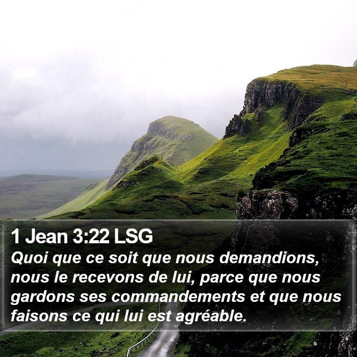 1 Jean 3:22 LSG Bible Study