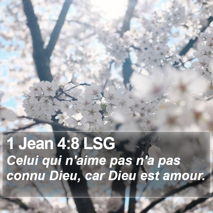 1 Jean 4:8 LSG Bible Study