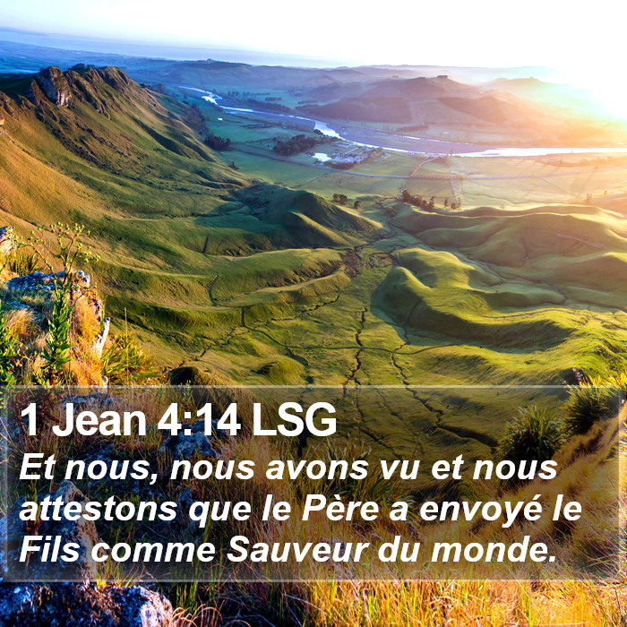 1 Jean 4:14 LSG Bible Study