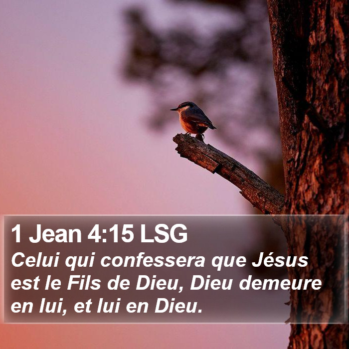 1 Jean 4:15 LSG Bible Study