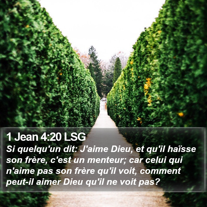 1 Jean 4:20 LSG Bible Study