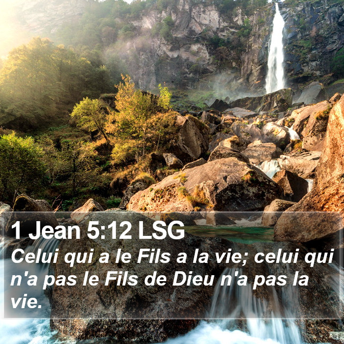 1 Jean 5:12 LSG Bible Study