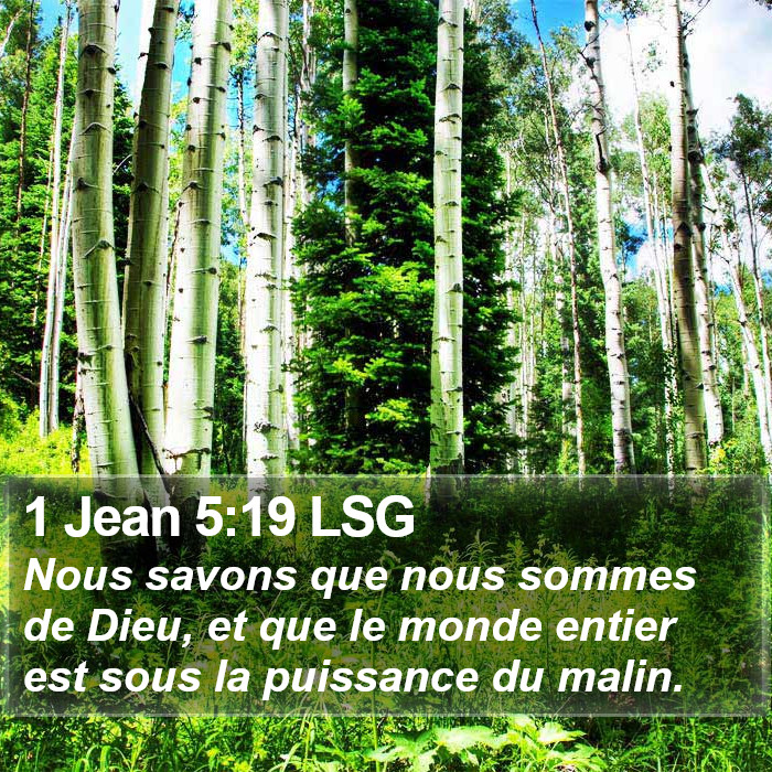 1 Jean 5:19 LSG Bible Study