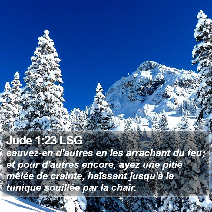 Jude 1:23 LSG Bible Study