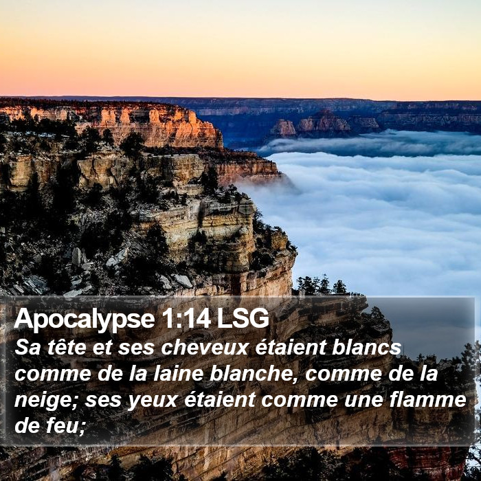 Apocalypse 1:14 LSG Bible Study