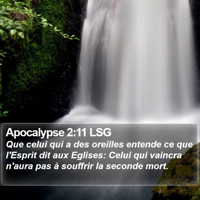 Apocalypse 2:11 LSG Bible Study