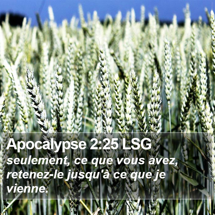 Apocalypse 2:25 LSG Bible Study