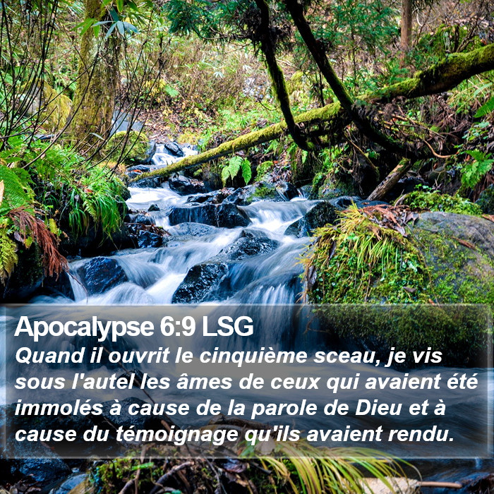 Apocalypse 6:9 LSG Bible Study