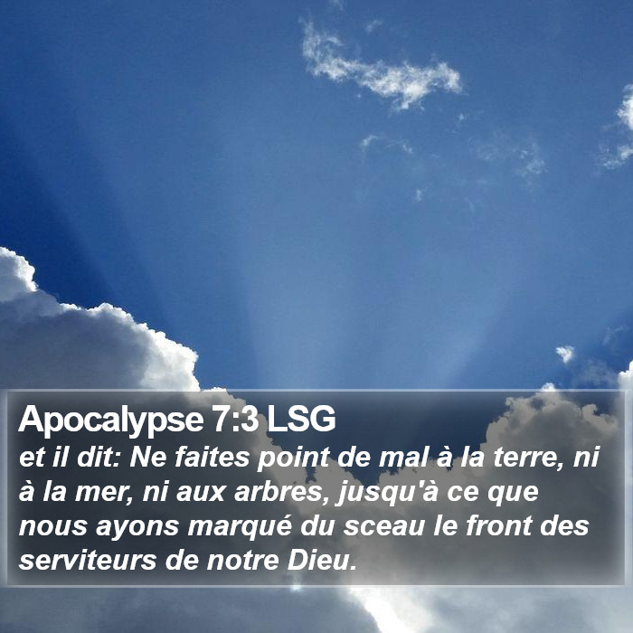 Apocalypse 7:3 LSG Bible Study