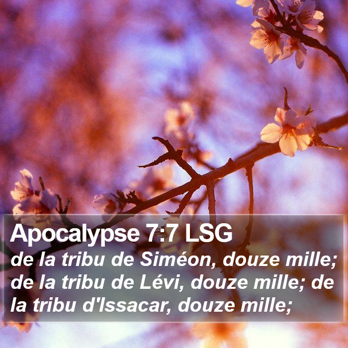 Apocalypse 7:7 LSG Bible Study