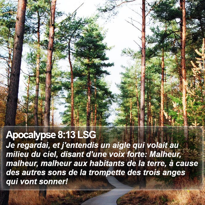 Apocalypse 8:13 LSG Bible Study