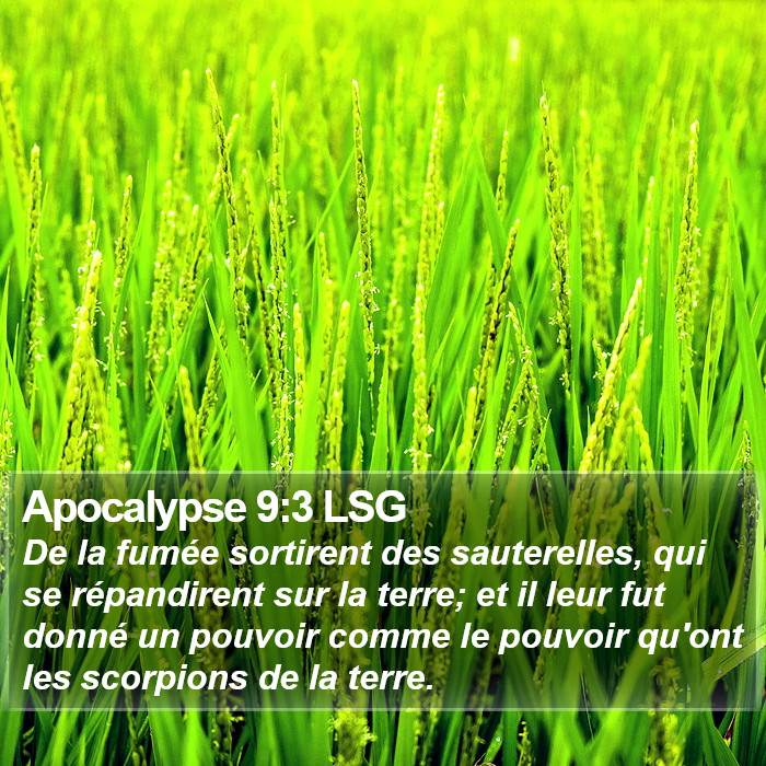 Apocalypse 9:3 LSG Bible Study