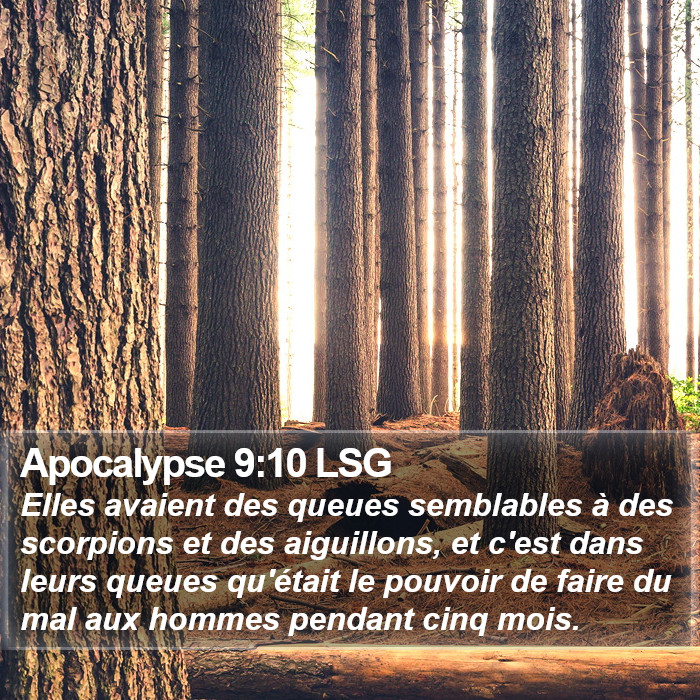 Apocalypse 9:10 LSG Bible Study