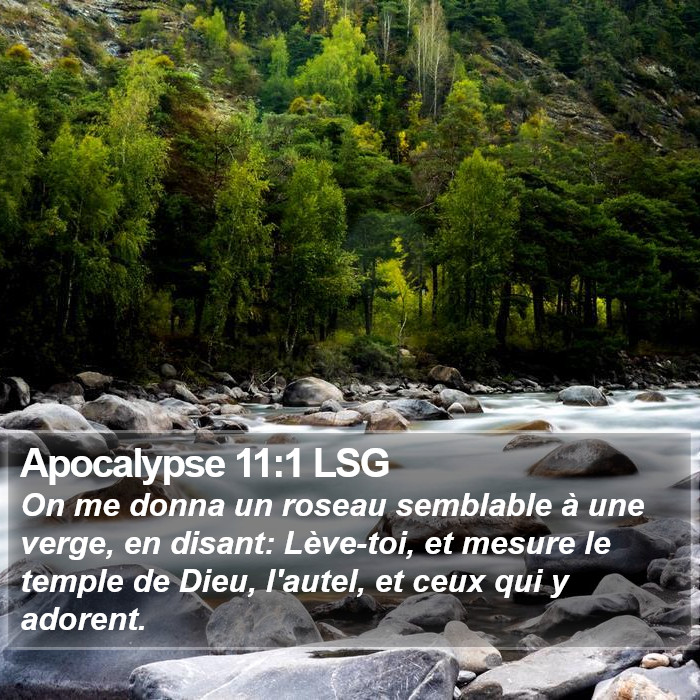 Apocalypse 11:1 LSG Bible Study