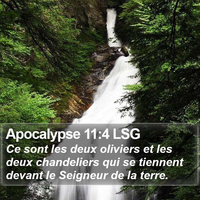 Apocalypse 11:4 LSG Bible Study