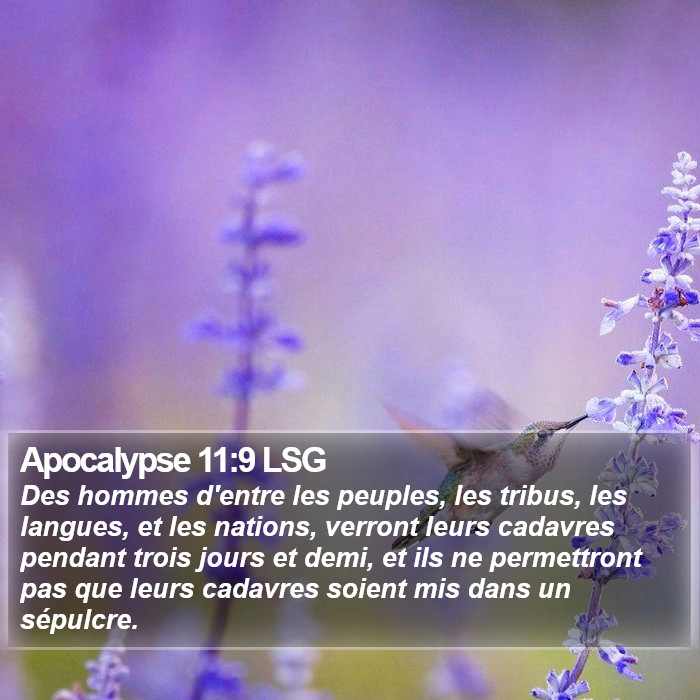 Apocalypse 11:9 LSG Bible Study