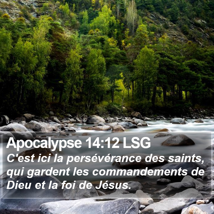 Apocalypse 14:12 LSG Bible Study