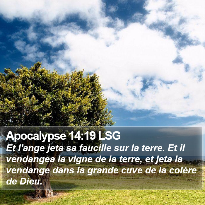 Apocalypse 14:19 LSG Bible Study