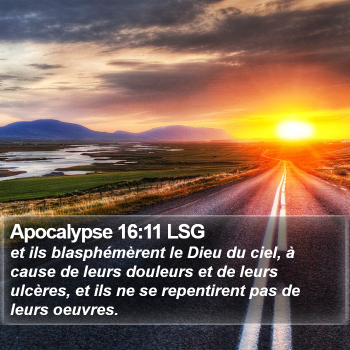 Apocalypse 16:11 LSG Bible Study