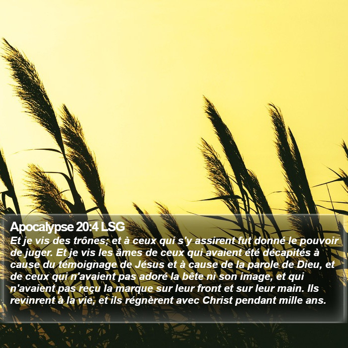 Apocalypse 20:4 LSG Bible Study