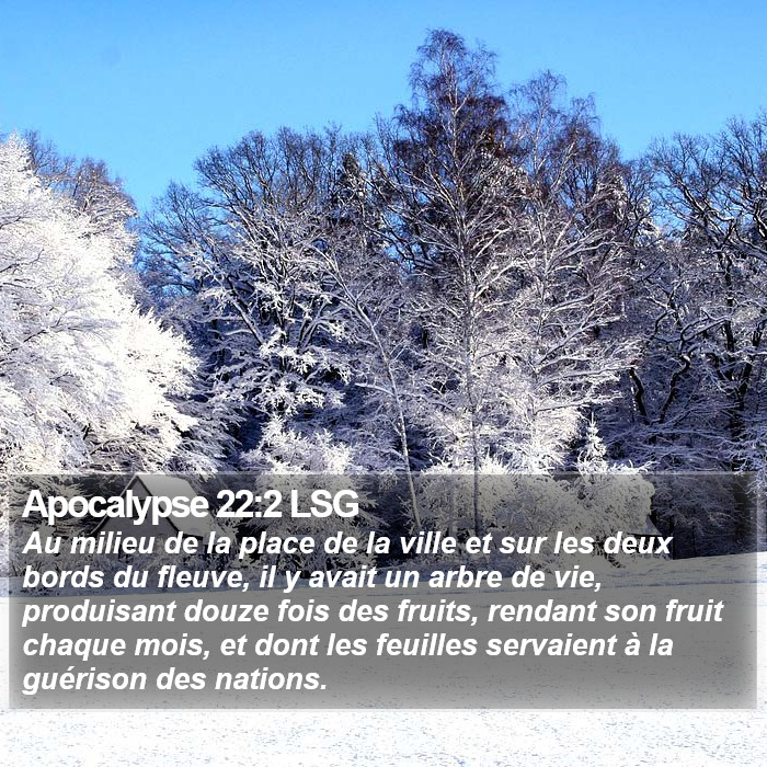 Apocalypse 22:2 LSG Bible Study